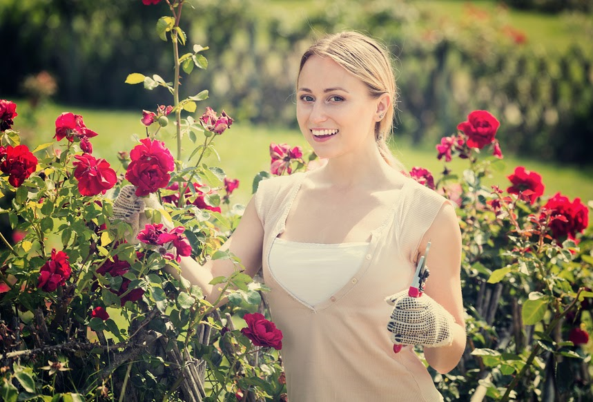 Какие предметы сдавать на ландшафтного дизайнера&nbsp;при поступлении в вуз?